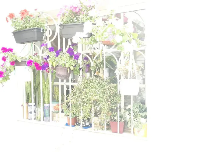 Villa Marina With Pool *